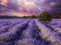 landscape-260923