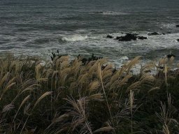 landscape-260923