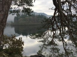 landscape-260923