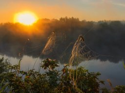 landscape-260923