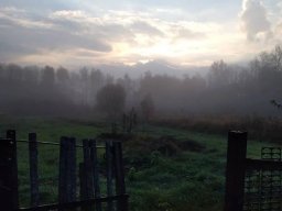 landscape-260923