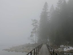 landscape-260923