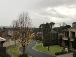 landscape-260923