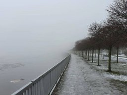 landscape-260923