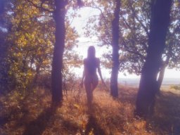 landscape-260923