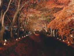 landscape-260923