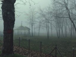 landscape-260923