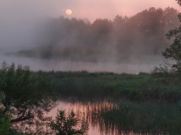 landscape-260923