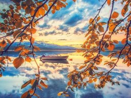 landscape-260923
