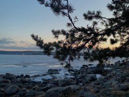 landscape-260923