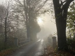 landscape-260923