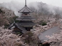 landscape-260923