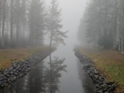 landscape-260923