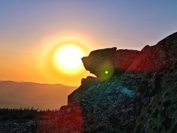 landscape-260923
