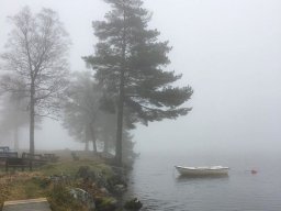 landscape-260923