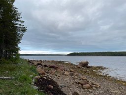 landscape-260923