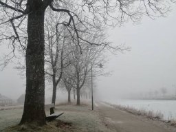 landscape-260923