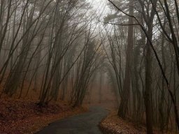 landscape-260923