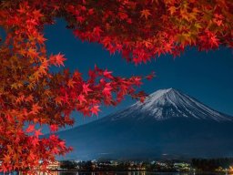landscape-260923