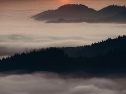 landscape-260923