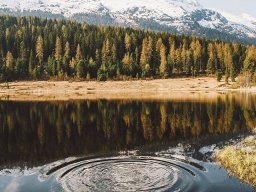 landscape-260923