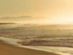 landscape-260923