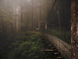 landscape-260923