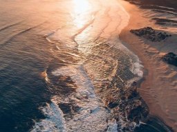 landscape-260923