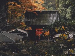 landscape-260923