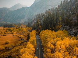landscape-260923