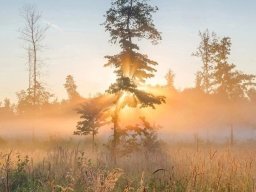 landscape-260923