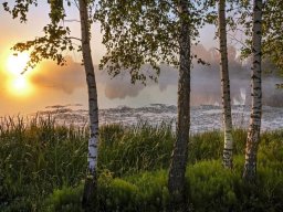 landscape-260923