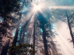 landscape-260923