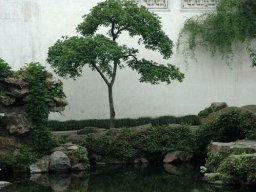 landscape-260923