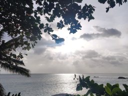 landscape-260923