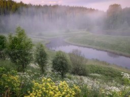 landscape-260923