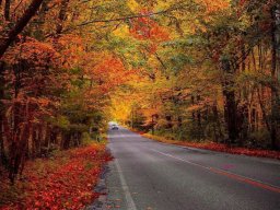 landscape-260923