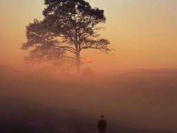 landscape-260923