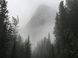 landscape-260923