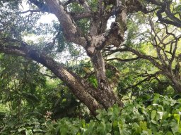 nature-260923