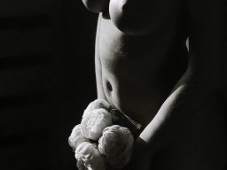 photoshoot-260928-008
