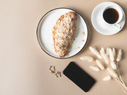still-lifes-260923