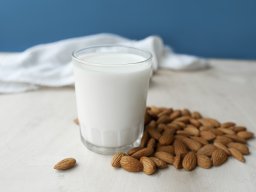 still-lifes-260923