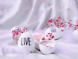 still-lifes-260923