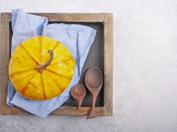 still-lifes-260923