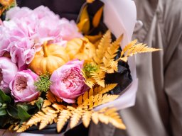 still-lifes-260923
