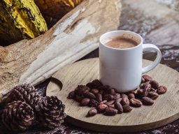 still-lifes-260923