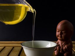 still-lifes-260923