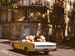 transport-260923