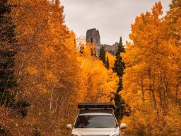 transport-260923